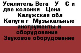 Усилитель Вега 10У120С и две колонки › Цена ­ 3 400 - Калужская обл., Калуга г. Музыкальные инструменты и оборудование » Звуковое оборудование   